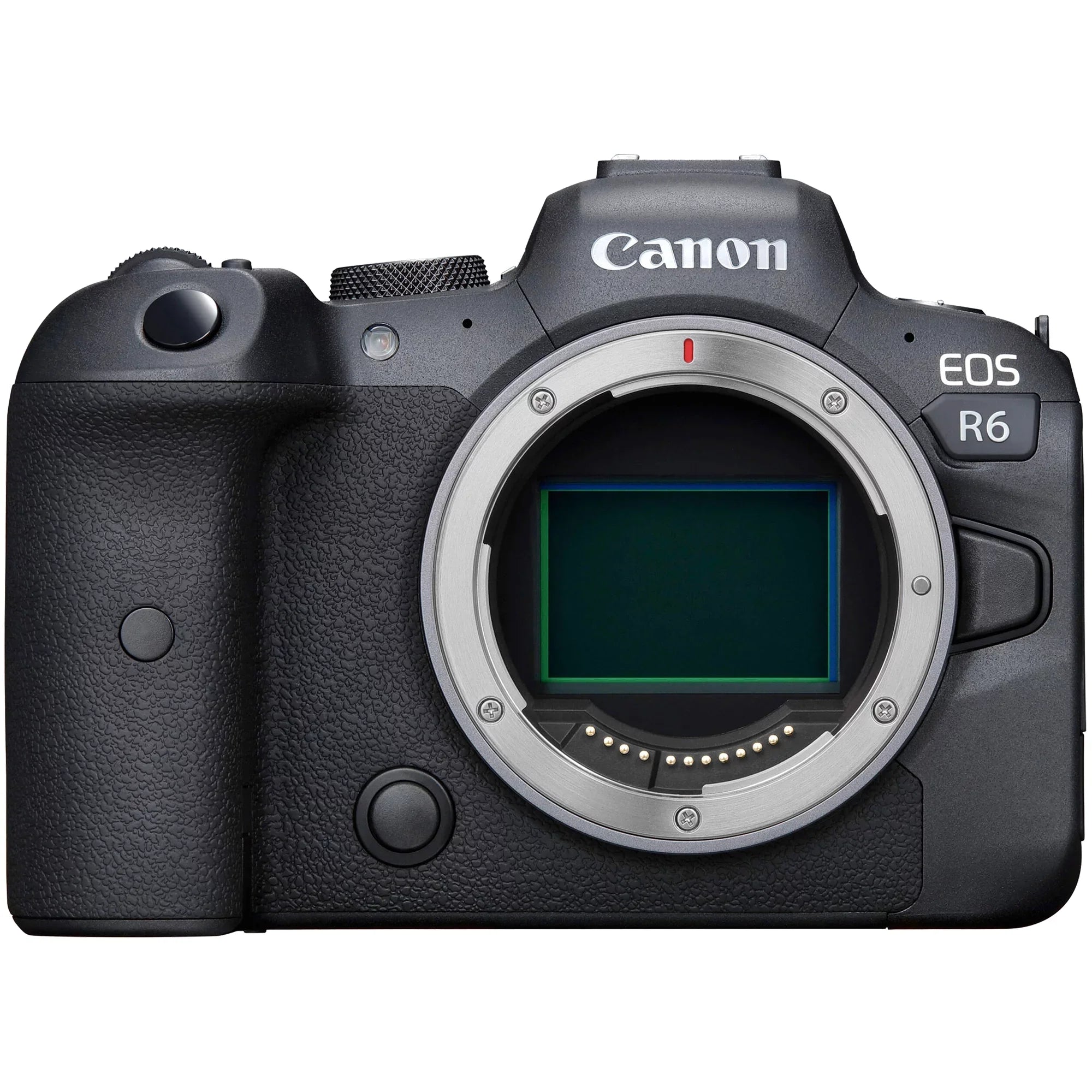 Canon EOS R6 Mirrorless Camera with RF 24-105mm STM + 75-300mm Lens + Mount Adapter + 64GB SanDisk + ZeeTech Accessory