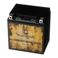 Pirate Battery YTX30L-BS (30L-BS 12 Volt,30 Ah, 270 CCA) Snowmobile Battery for Brp (ski-doo) Expedition Se Year (15-17)