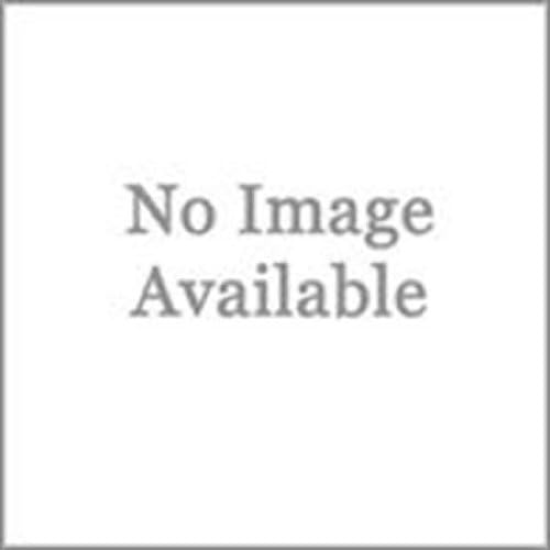 Landwave Single Skateboard Ramp