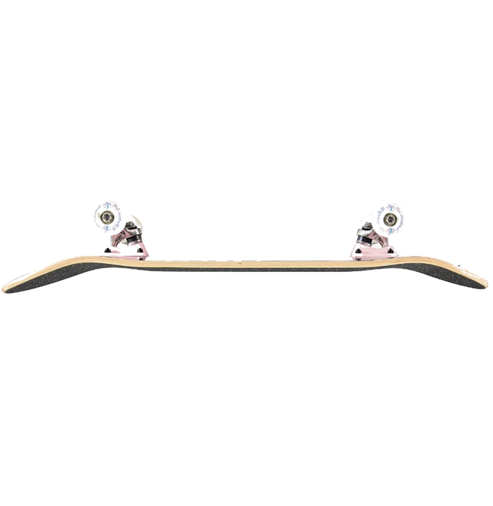 Santa Cruz Skateboarding Complete Standard Skateboard