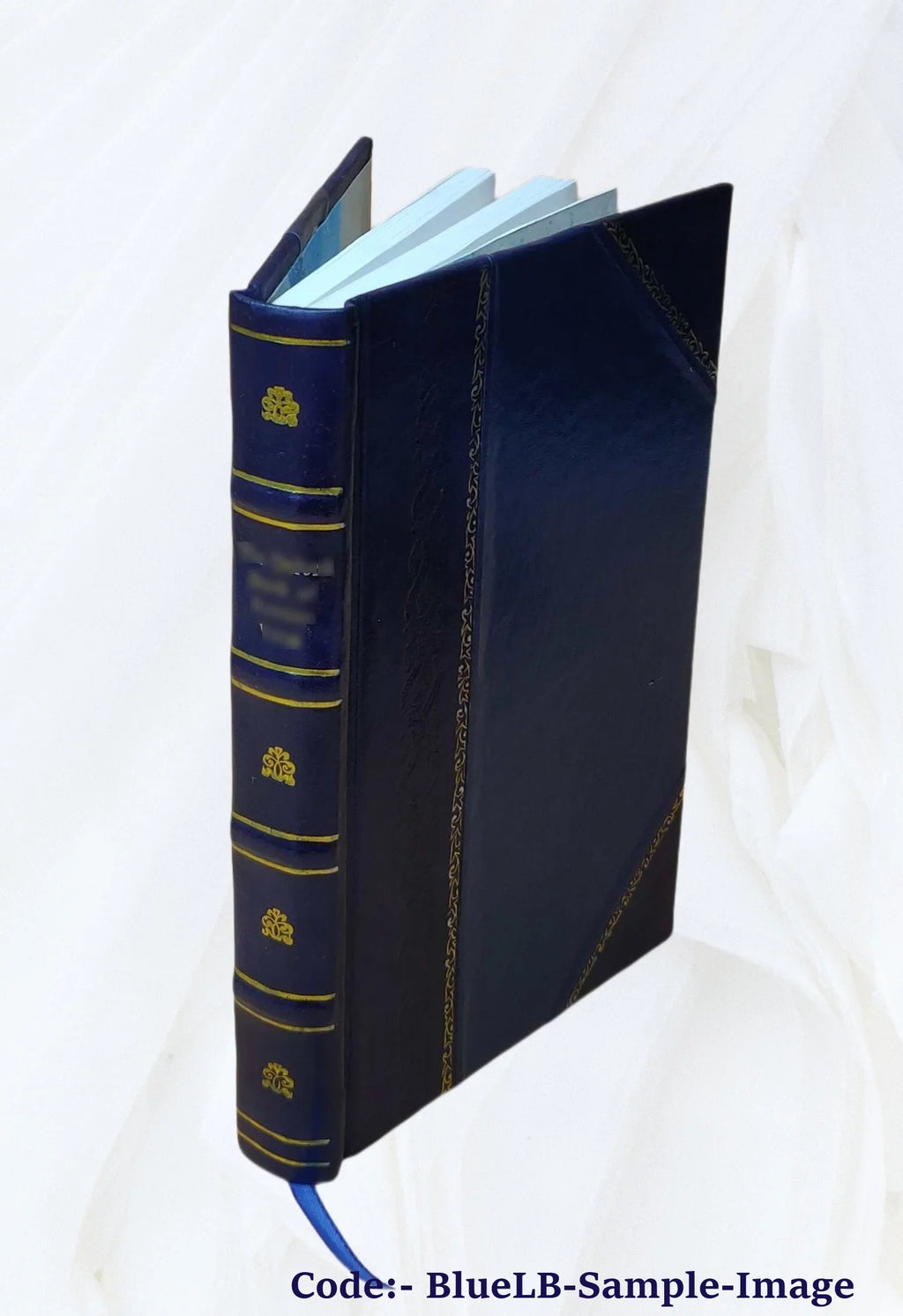 San Lorenzo River watershed water quality investigation Volume no.143-1 1966 [Leather Bound]