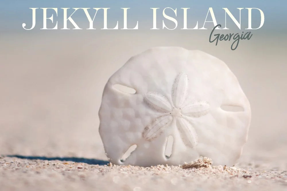 Jekyll Island, Georgia, Sand Dollar on Beach (1000 Piece Puzzle, Size 19x27, Challenging Jigsaw Puzzle for Adults and Family, Made in USA)