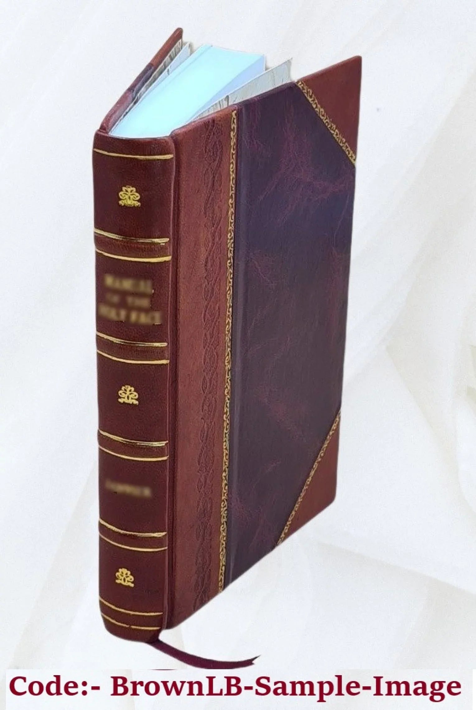 Chased through Norway, or, Two million dollars missing / by James Otis [pseud.]. 1899 [Leather Bound]