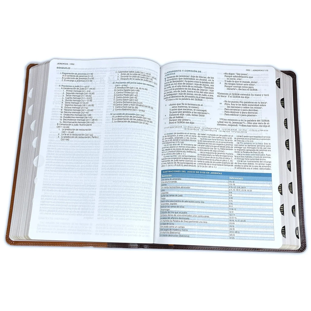 Nbla Biblia de Estudio Macarthur, Leathersoft, Café, Interior a DOS Colores, Con Índice (Other)