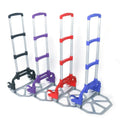 GoDecor Portable Foldable Trolley, with Telescopic Rod, for Carry Luggage, Black