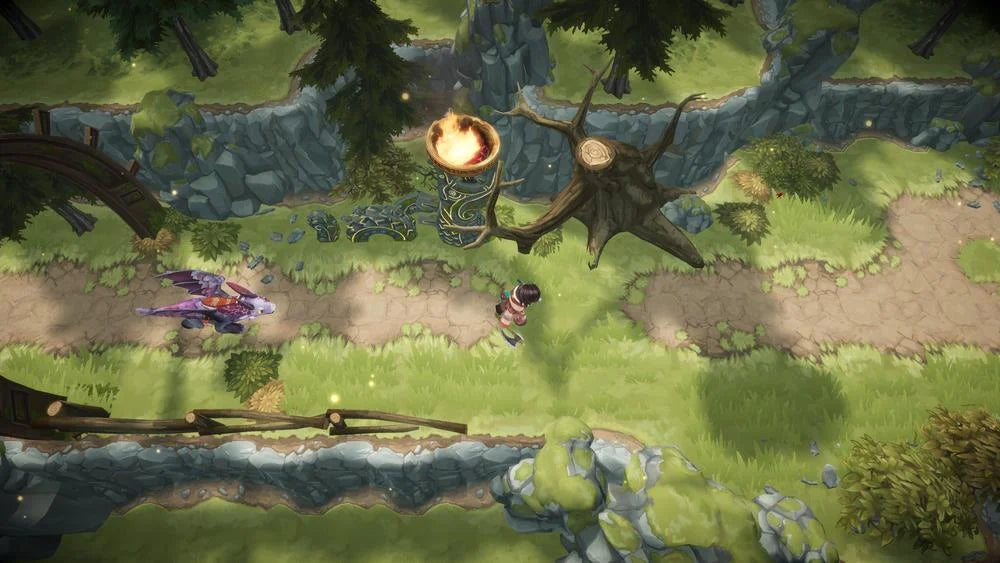 Dragons: Dawn of New Riders (Other)