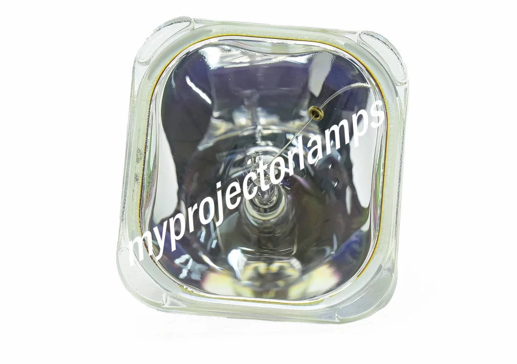 LG LP-XG2 Bare Projector Lamp