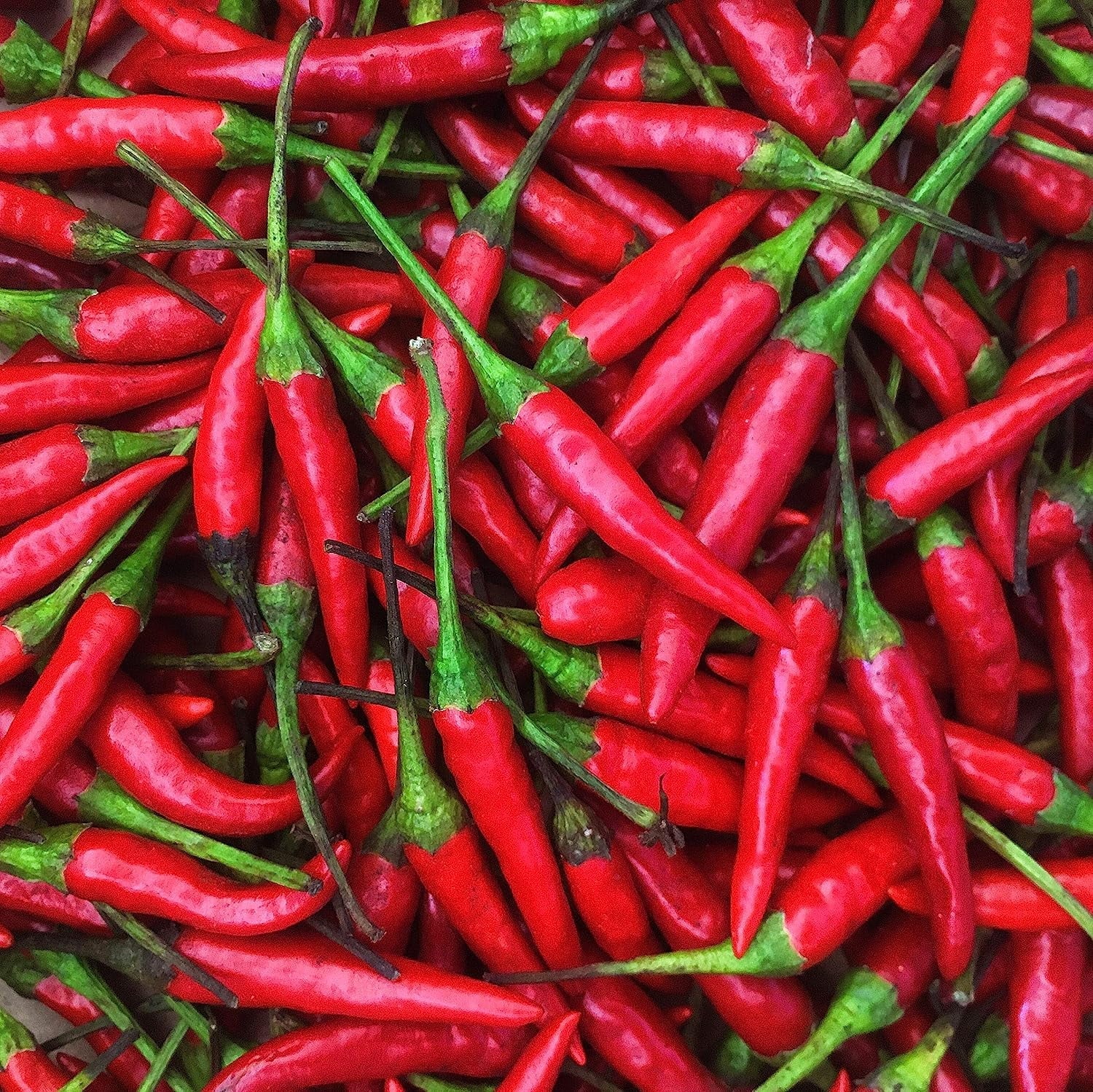 Fresh Red Thai Chili Peppers -1 Lb (16 oz)
