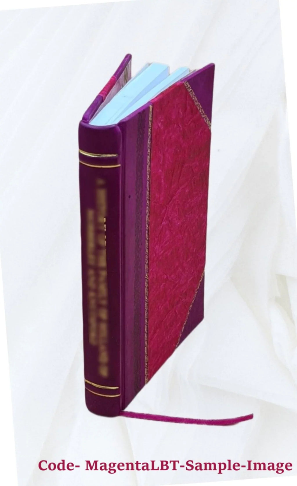 Le culte de Saint Samson à la fin du Xe siècle 1902 [Leather Bound]