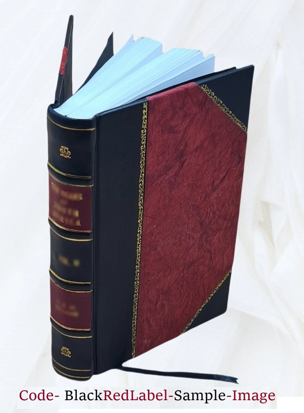 Chased through Norway, or, Two million dollars missing / by James Otis [pseud.]. 1899 [Leather Bound]