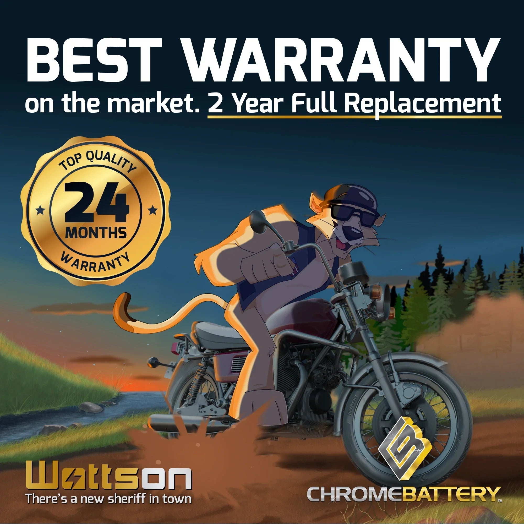 Pirate Battery YTX30L-BS (30L-BS 12 Volt,30 Ah, 270 CCA) Snowmobile Battery for Brp (ski-doo) Expedition Se Year (15-17)