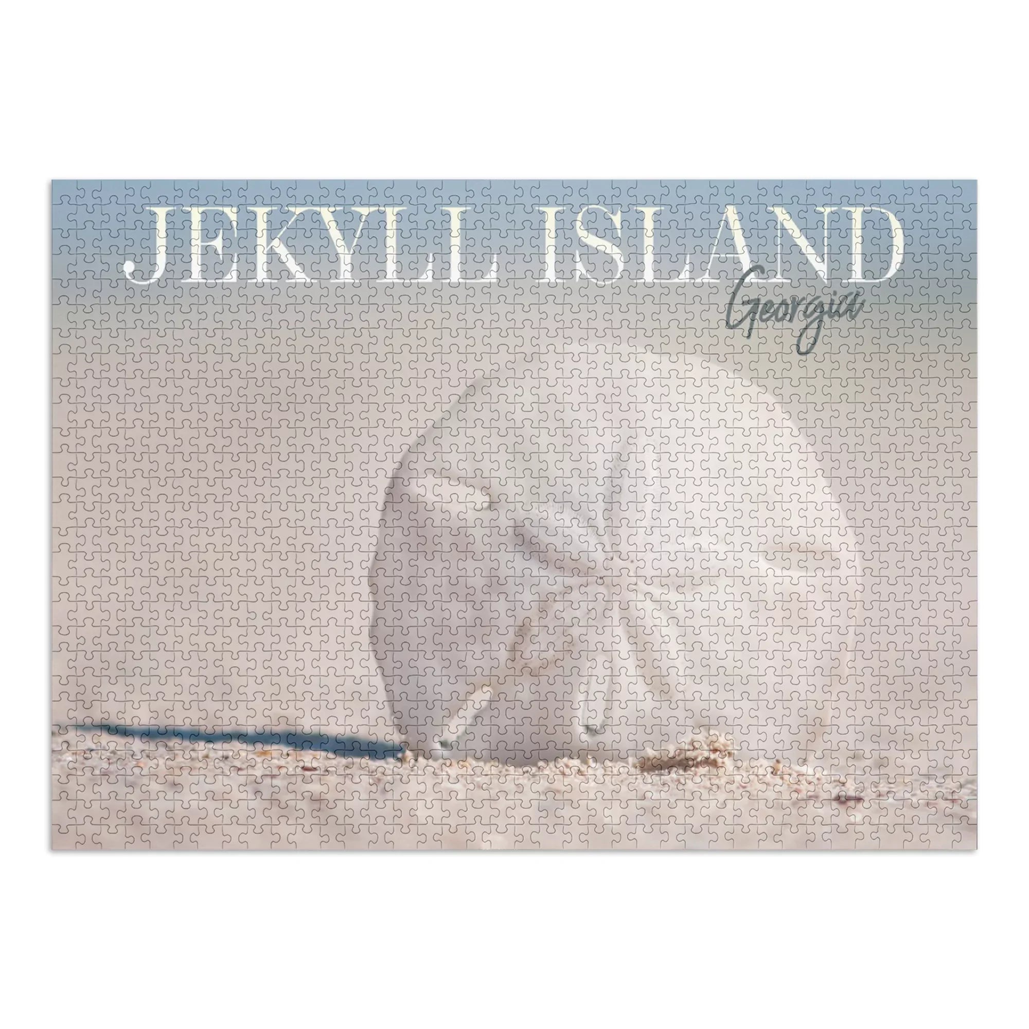 Jekyll Island, Georgia, Sand Dollar on Beach (1000 Piece Puzzle, Size 19x27, Challenging Jigsaw Puzzle for Adults and Family, Made in USA)