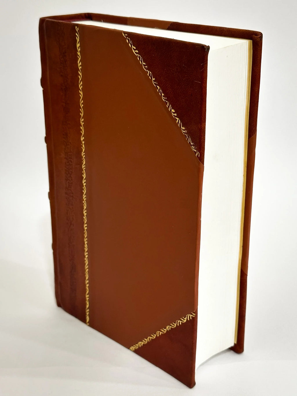 Le Veritable Conducteur Aux Cimetieres Du Pere La Chaise, Montmartre, Mont-Parnasse Et Vaugirard Ou Guide Le Plus Complet... Contenant La Description De Plus De Mille Tombeaux (1856) [Leather Bound]