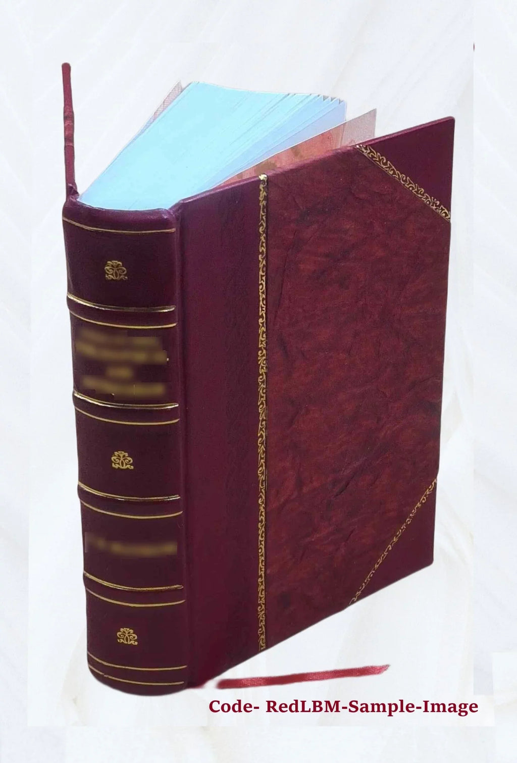 History of Monmouth and Wales / by Harry H. Cochrane ... illustrated by the author ... Volume v.2 1894 [Leather Bound]