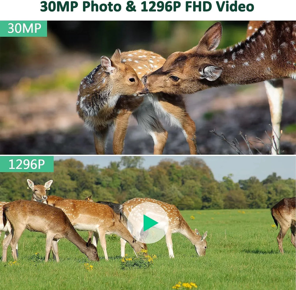 CAMPARK WiFi Trail Camera 30MP 1296P Bluetooth Hunting Game Camera with Infrared Night Vision Motion Activated Trail Camera with IP66 Waterproof for Wildlife Monitoring