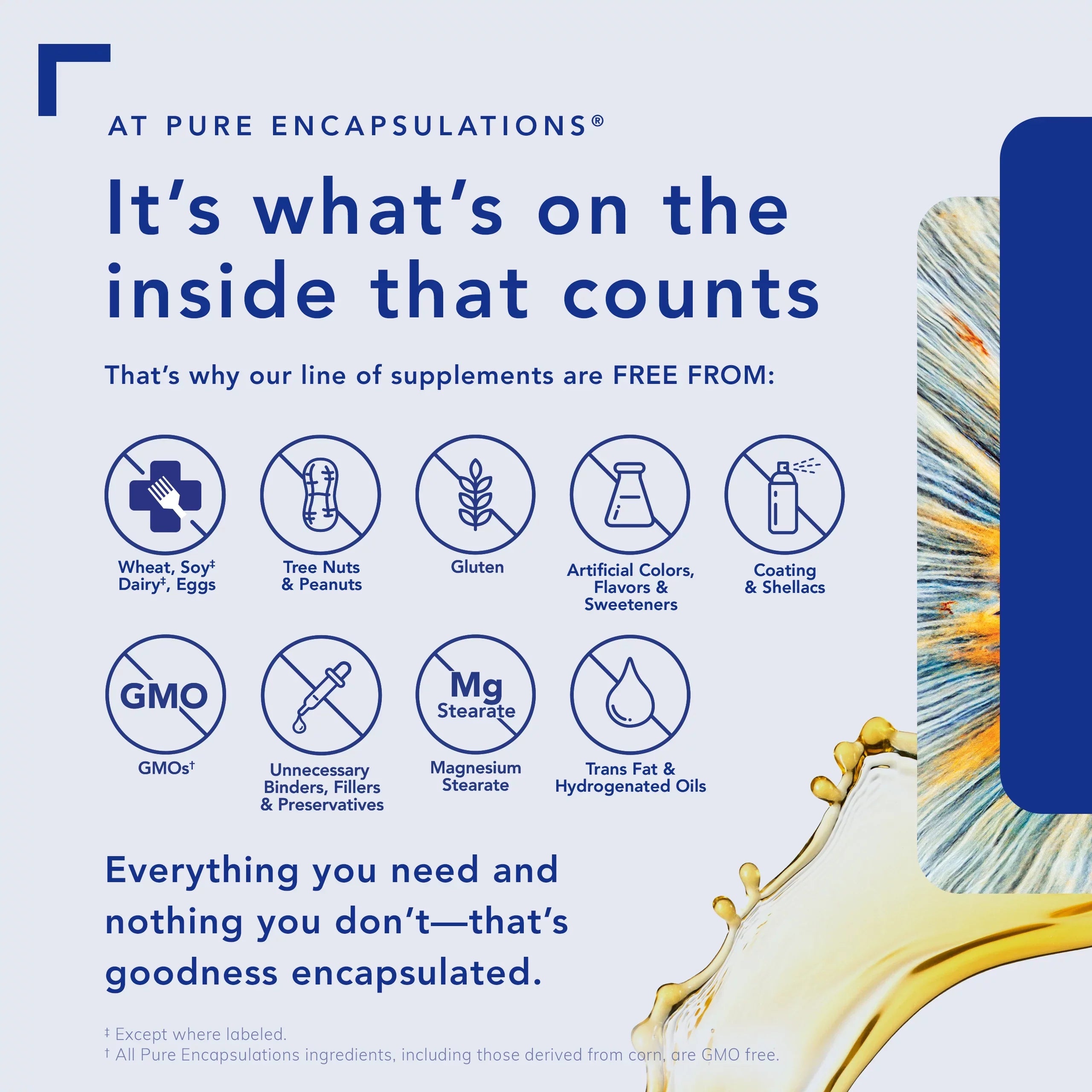 Pure Encapsulations Brain Reset | Supports Concentration, Clarity, and Memory Associated with Brain Fog | 60 Capsules*