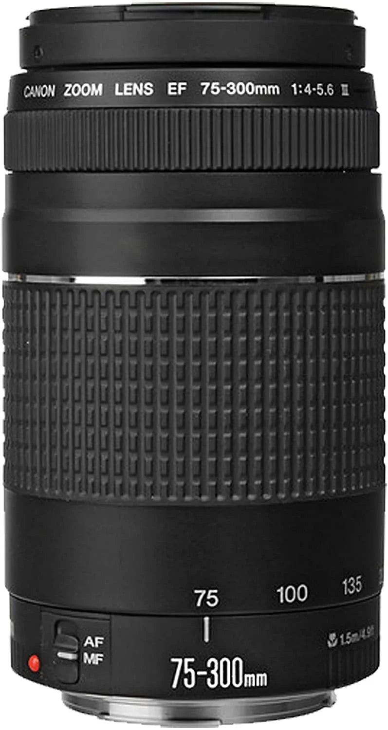 Canon EOS R6 Mirrorless Digital Camera with RF 24-105mm f/4-7.1 STM Lens + 75-300mm F/4-5.6 III Lens + 50mm f/1.8 STM Lens + 128GB Memory + Case + Tripod + Filters 43pc Bundle