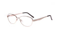 NEW ENVY EYEWEAR Silver CAROL Eyeglasses 53mm with Case