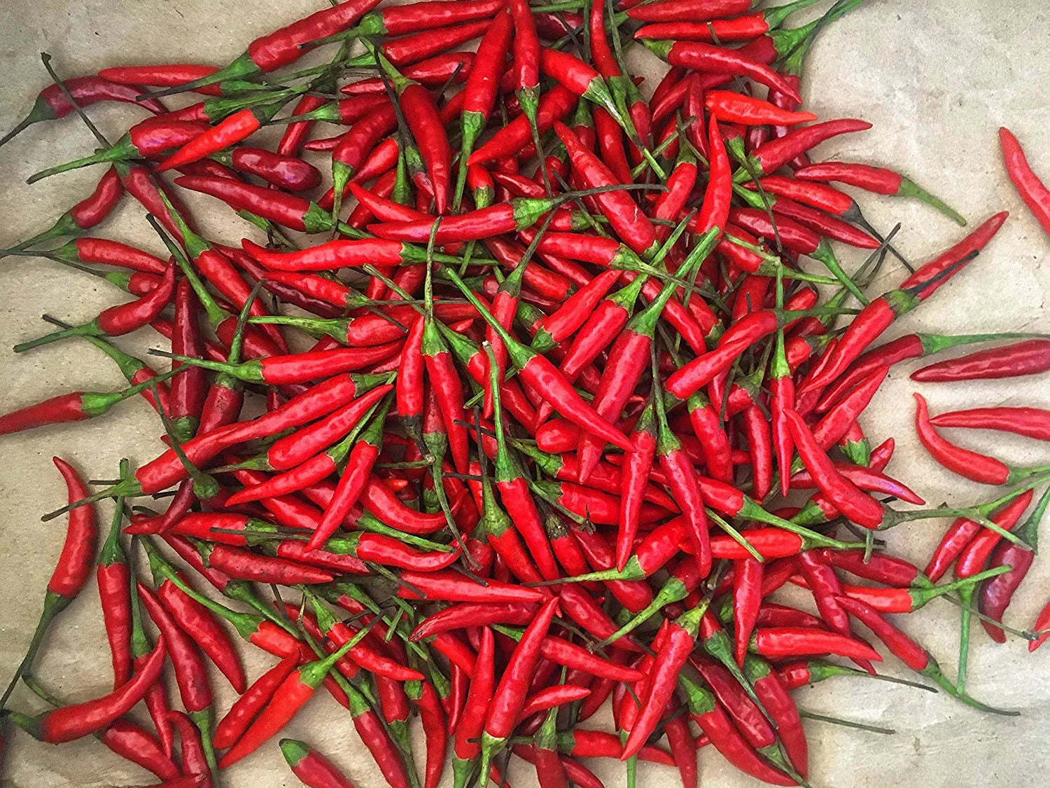 Fresh Red Thai Chili Peppers -1 Lb (16 oz)