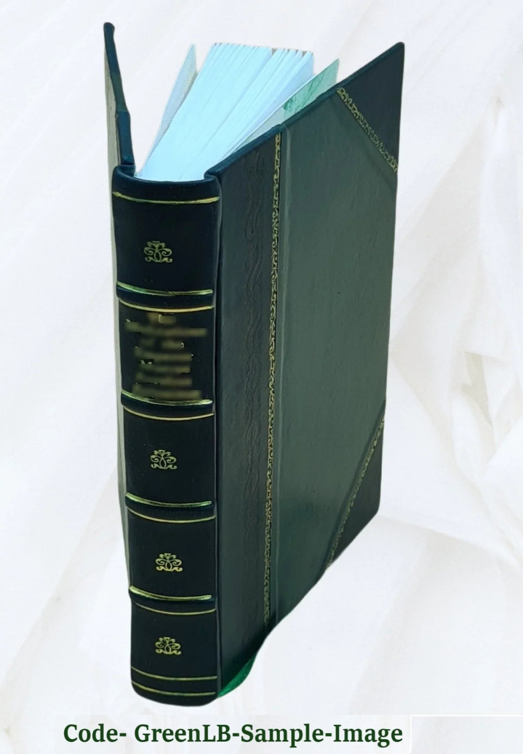 Chased through Norway, or, Two million dollars missing / by James Otis [pseud.]. 1899 [Leather Bound]