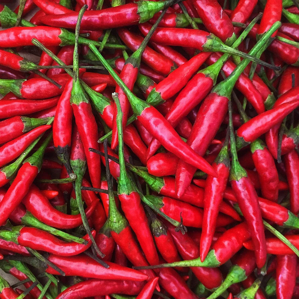Fresh Red Thai Chili Peppers -1 Lb (16 oz)