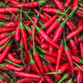 Fresh Red Thai Chili Peppers -1 Lb (16 oz)