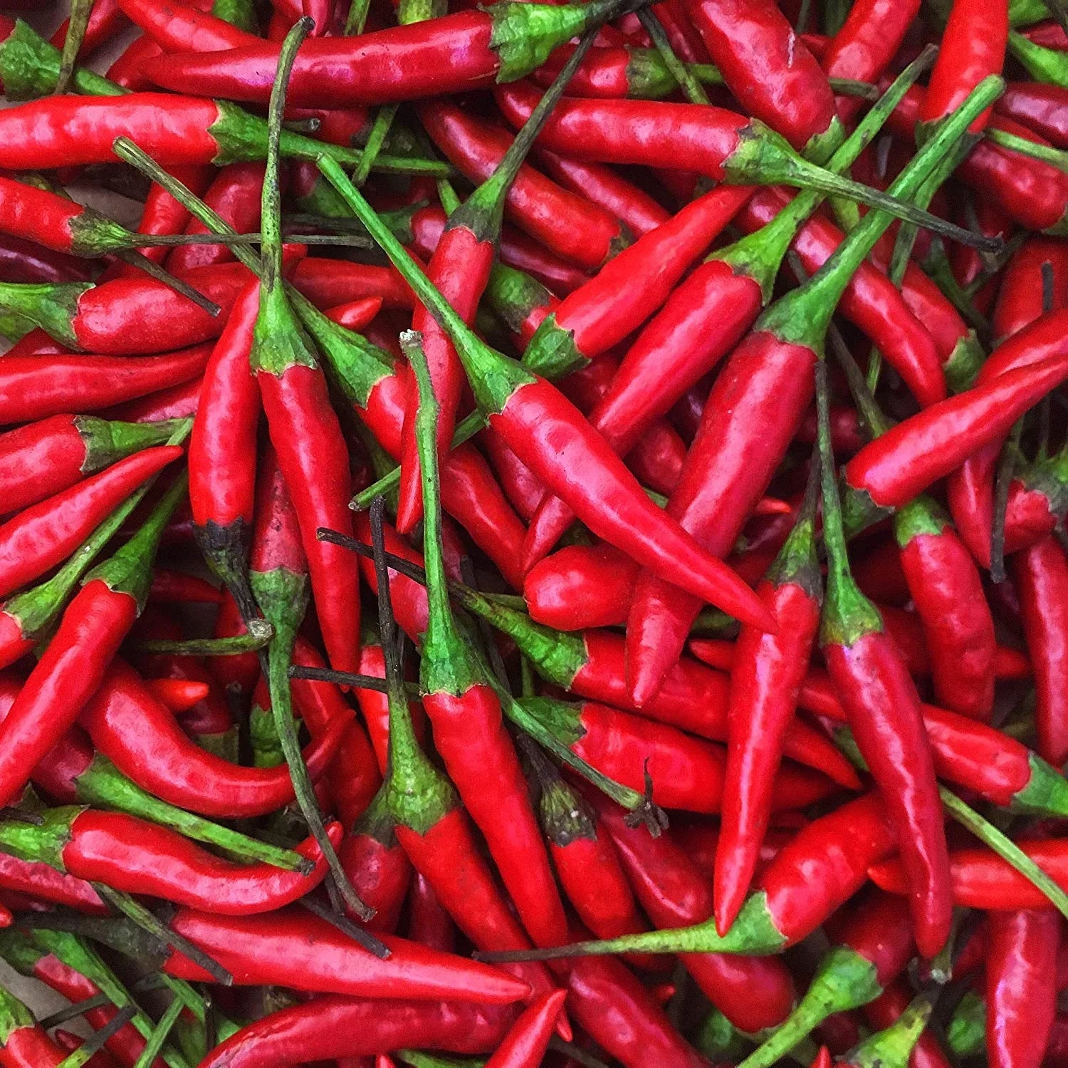 Fresh Red Thai Chili Peppers -1 Lb (16 oz)