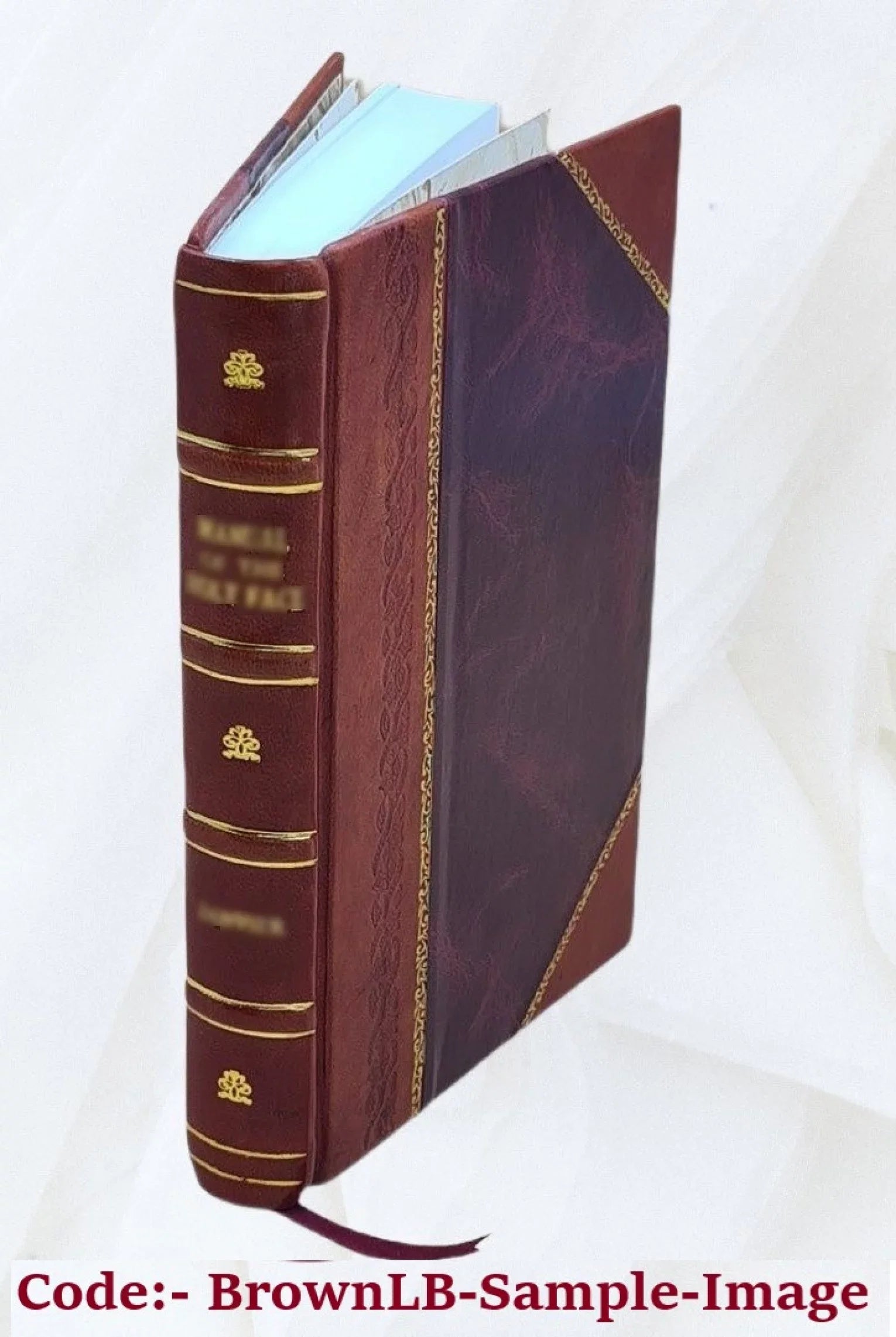 Miscellanies: prose and verse Volume 4 2020 [Leather Bound]